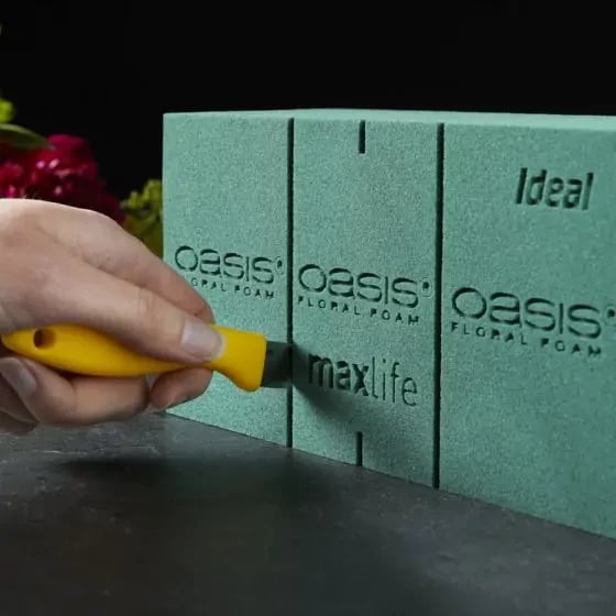 Oasis Ideal Foam Maxlife Brick - 20 Piece Pack for Ultimate Sleep Support and Home Bedding Refresh