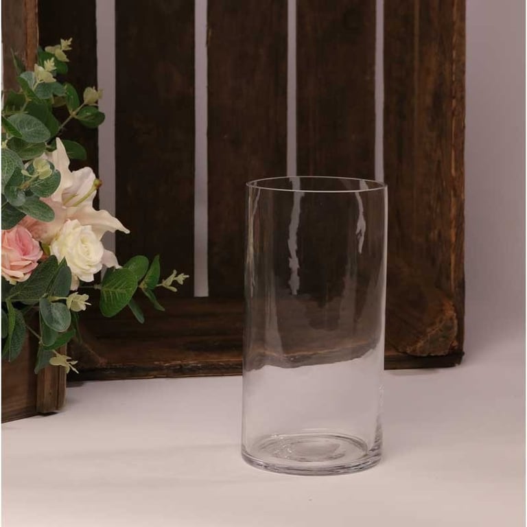 Glass Contract Cylinder Vase - Modern Home Decor Indoor Plant Pot (20cm x 10cm)