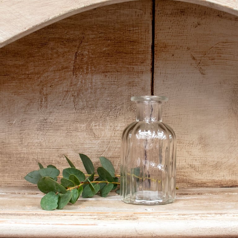 Flora Bottle - Eco-Friendly Indoor Garden Planter and Vase for Home Decor