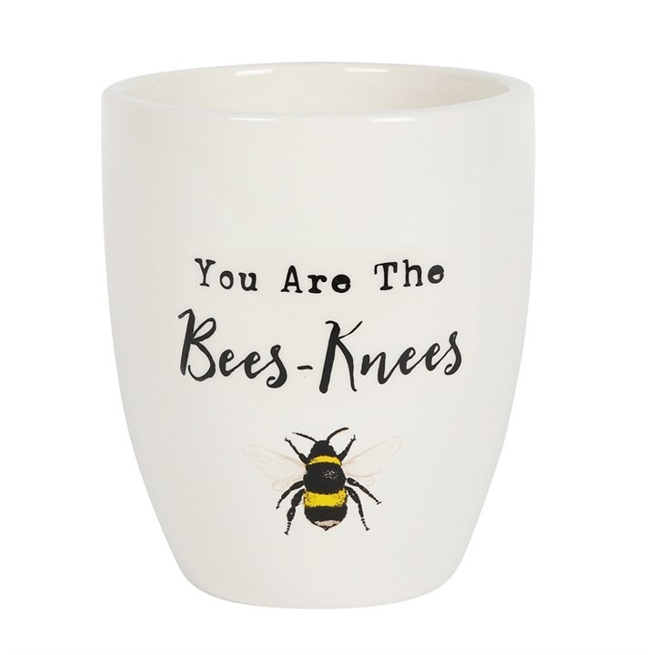 You Are the Bees Knees Ceramic Plant Pot - Unique Indoor Planter for Home Decor