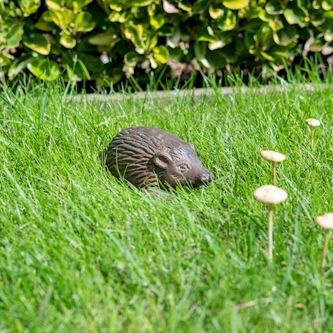 Decorative Hedgehog - Adorable Indoor Garden Decoration Home Accessory