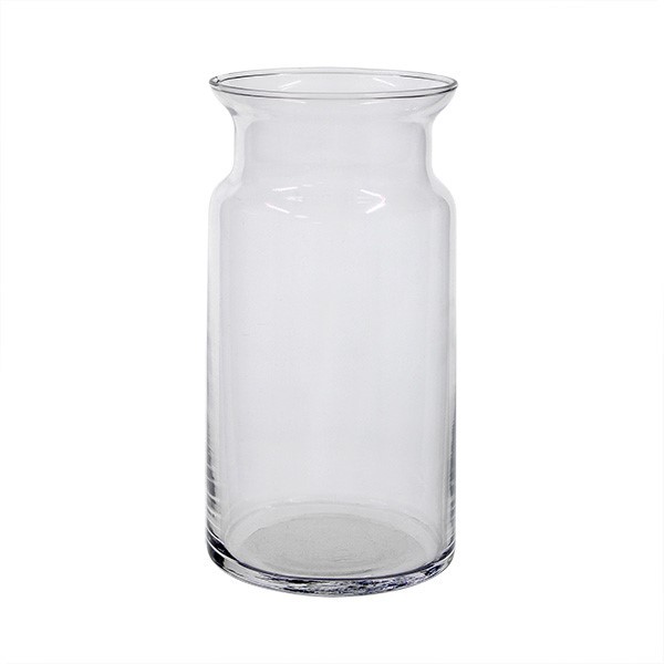 Molly Clear Glass Jar Vase - 20cm Indoor Plant Container for Home Decor