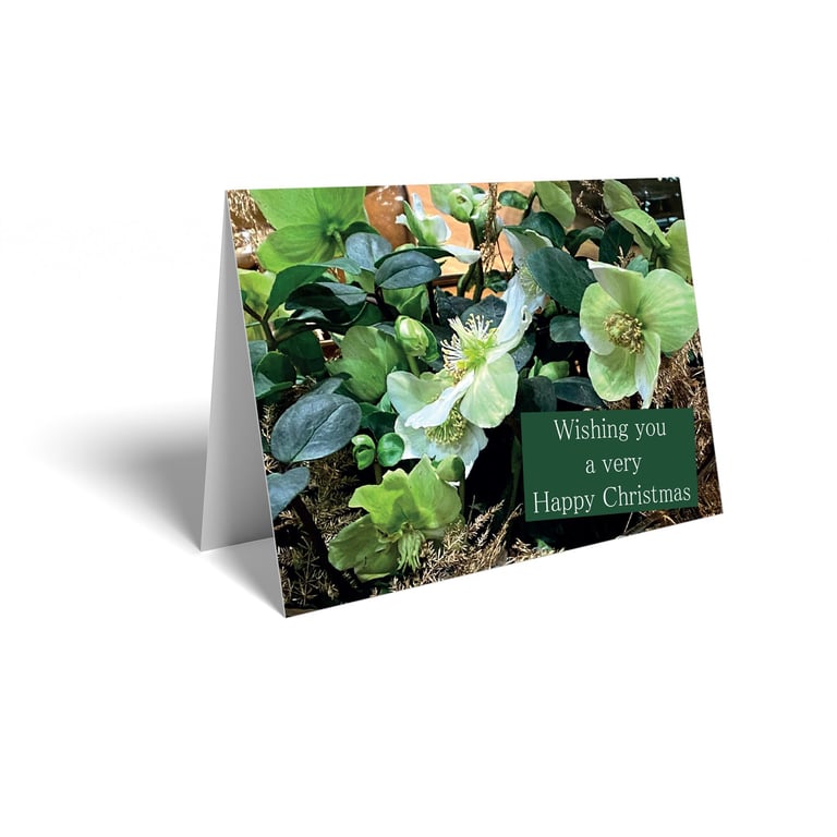 Floral Christmas Card 25 Pack - Festive Holiday Greeting Cards for Home Decoration