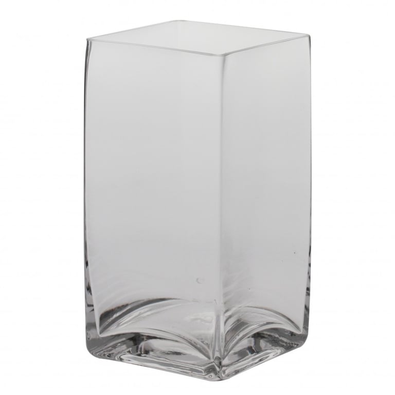 20x10 Glass Aquarium Tank for Home - Perfect for Small Aquatic Pets and Fish