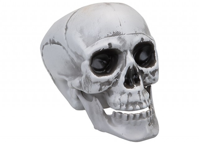 Large Moving Jaw Skull Decoration - Horror Theme Wall Art and Home Decor