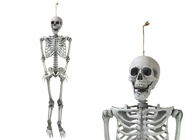 Hanging Skeleton Decoration 160cm - Spooky Home Decor Wall Art for Halloween Season