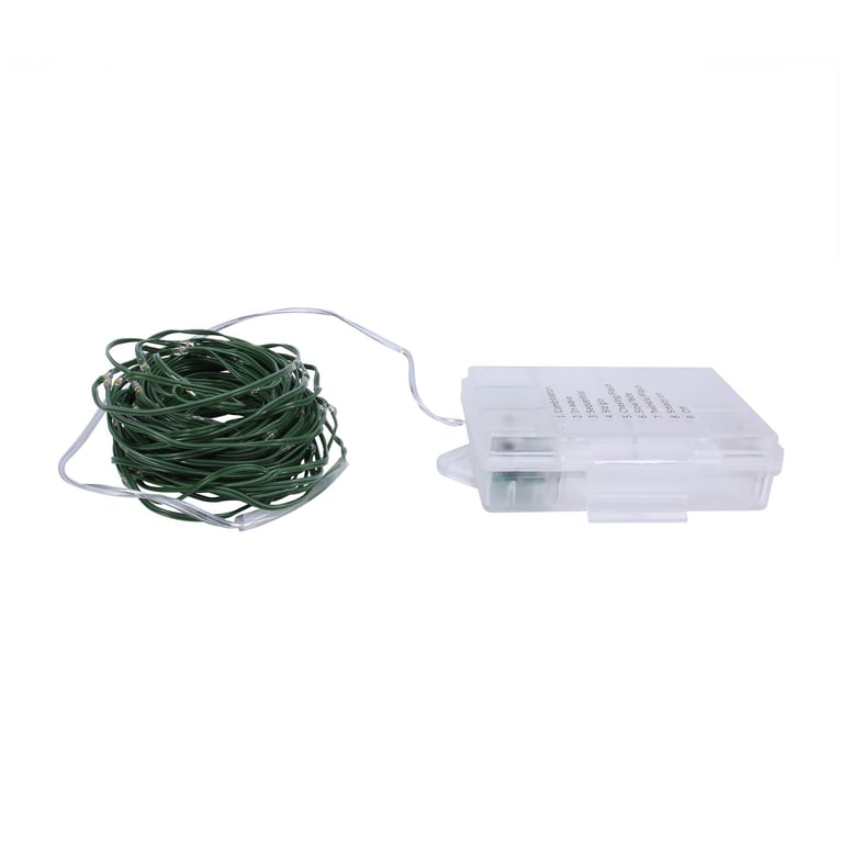 Warm White Green Elements Outdoor Remote Wire Lights - 100 Bulb String Kit with Wireless Control