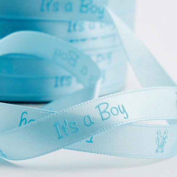 Pale Blue Satin Teddy Themed Ribbon - Baby Boy Gift Decorations
