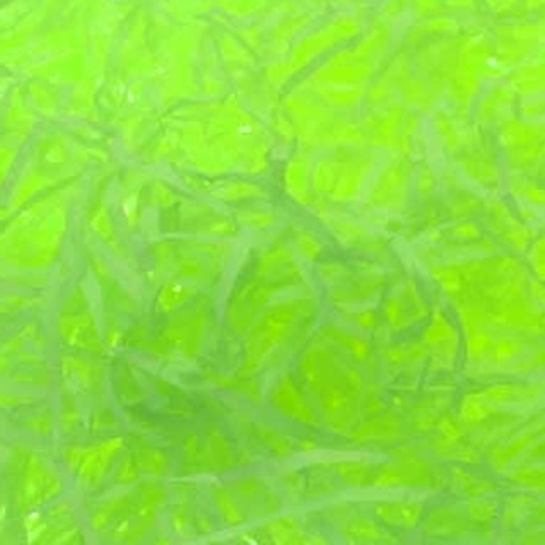 Lime Green Shredded Tissue Paper - 25g Home Decor and Party Supplies Wrapping Tissue