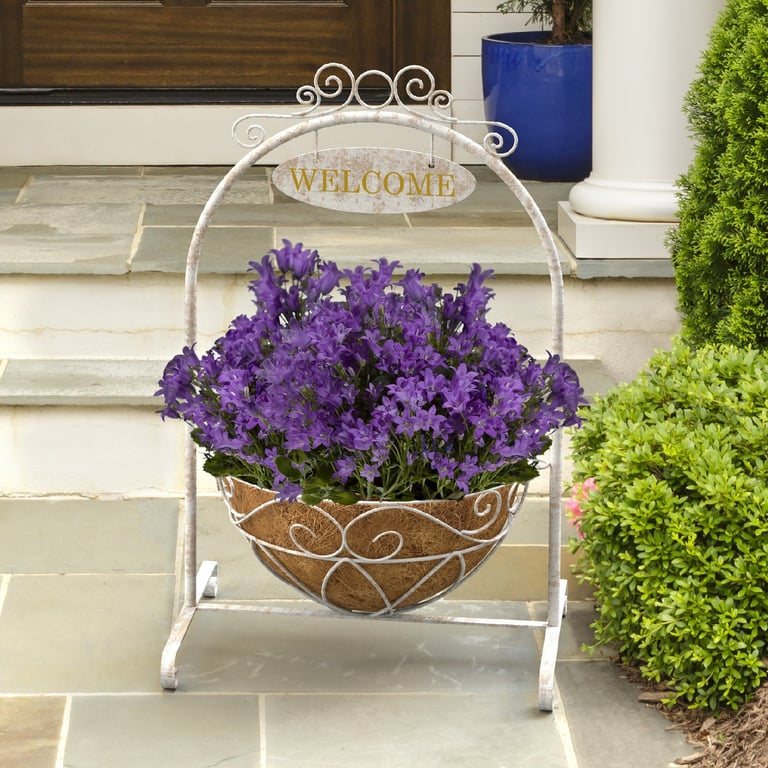 French Country Scroll Welcome Stand with Distressed White Hanging Basket