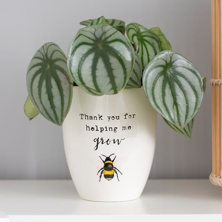 Ceramic Plant Pot - Thanks For Helping Me Grow Home Garden Indoor Growing Pot