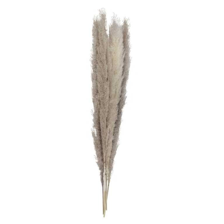 Natural Pampas Grass - Dried Wedding Flowers and Home Decor Stems (Pack of 5)