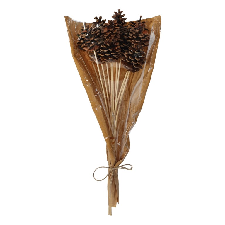 Natural Pine Cone Picks 50cm - Pack of 12 for Home Decor & Garden Decoration