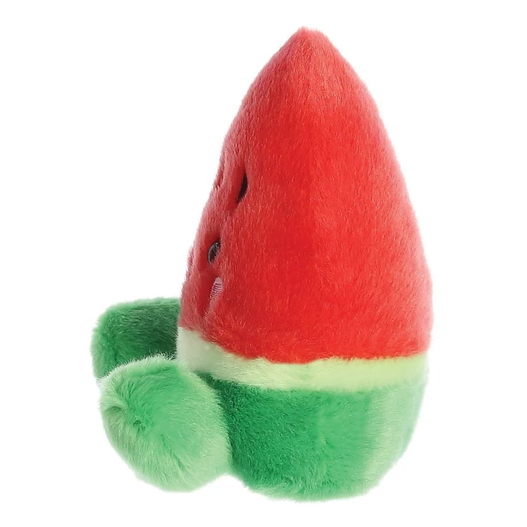 Watermelon Palm Pal - Unique Indoor Tropical Plant & Decorative Home Garden Palm