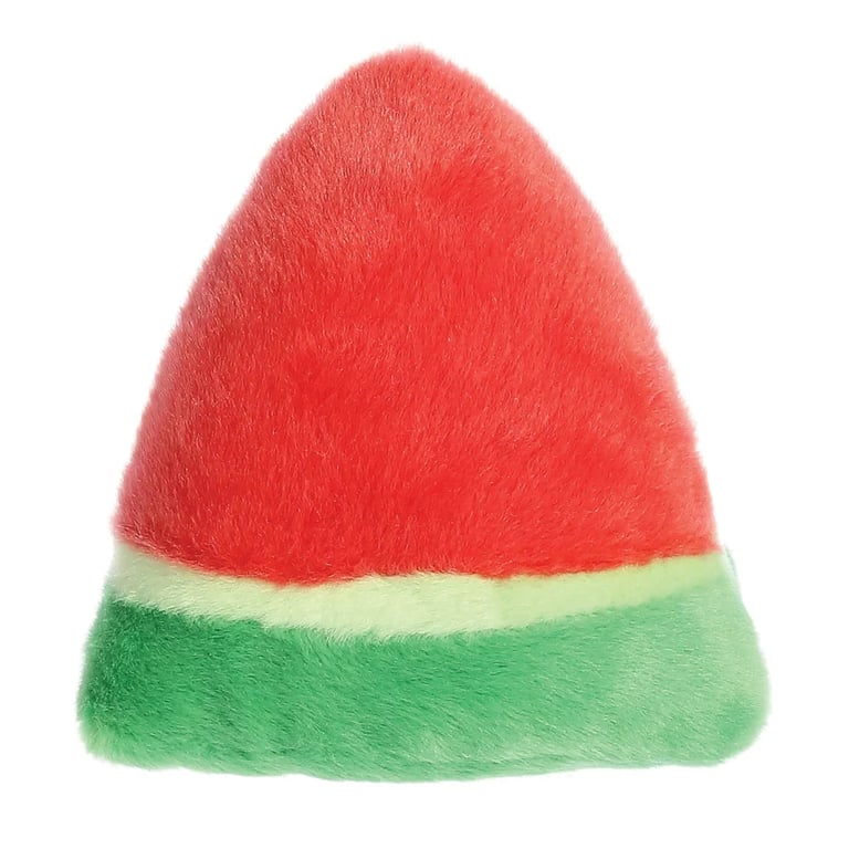 Watermelon Palm Pal - Unique Indoor Tropical Plant & Decorative Home Garden Palm