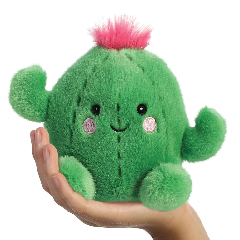 Cactus Palm Pal - Easy to Care For Indoor Desert Succulent Plant