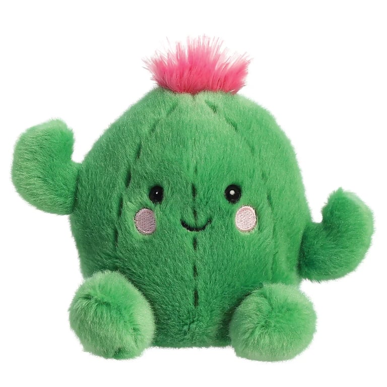 Cactus Palm Pal - Easy to Care For Indoor Desert Succulent Plant