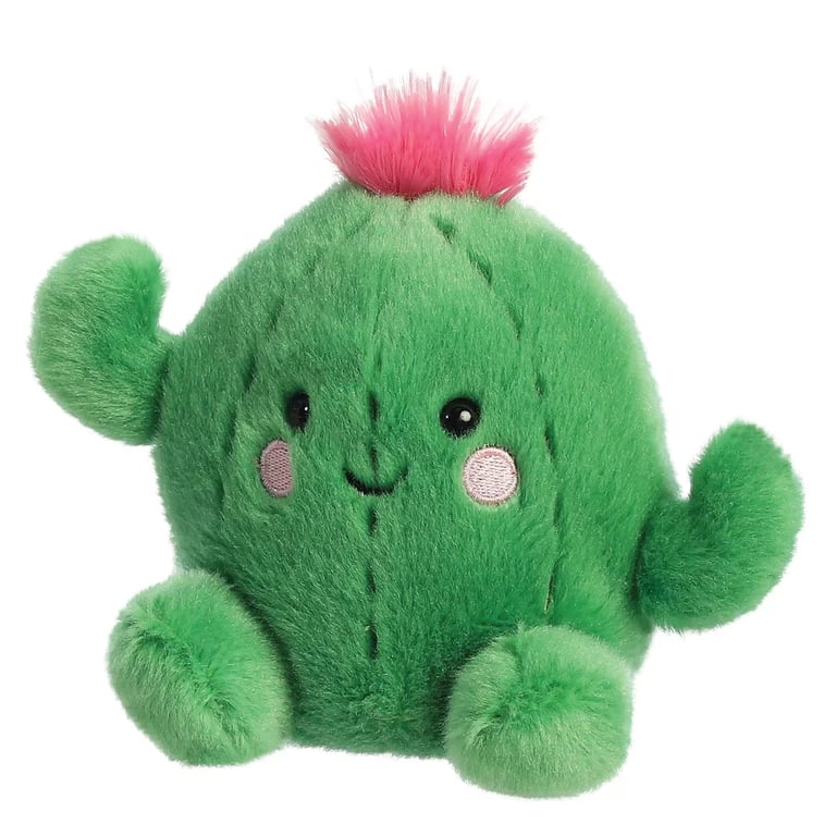 Cactus Palm Pal - Easy to Care For Indoor Desert Succulent Plant