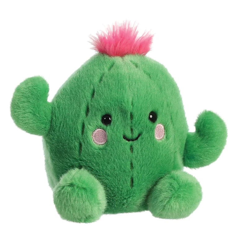 Cactus Palm Pal - Easy to Care For Indoor Desert Succulent Plant