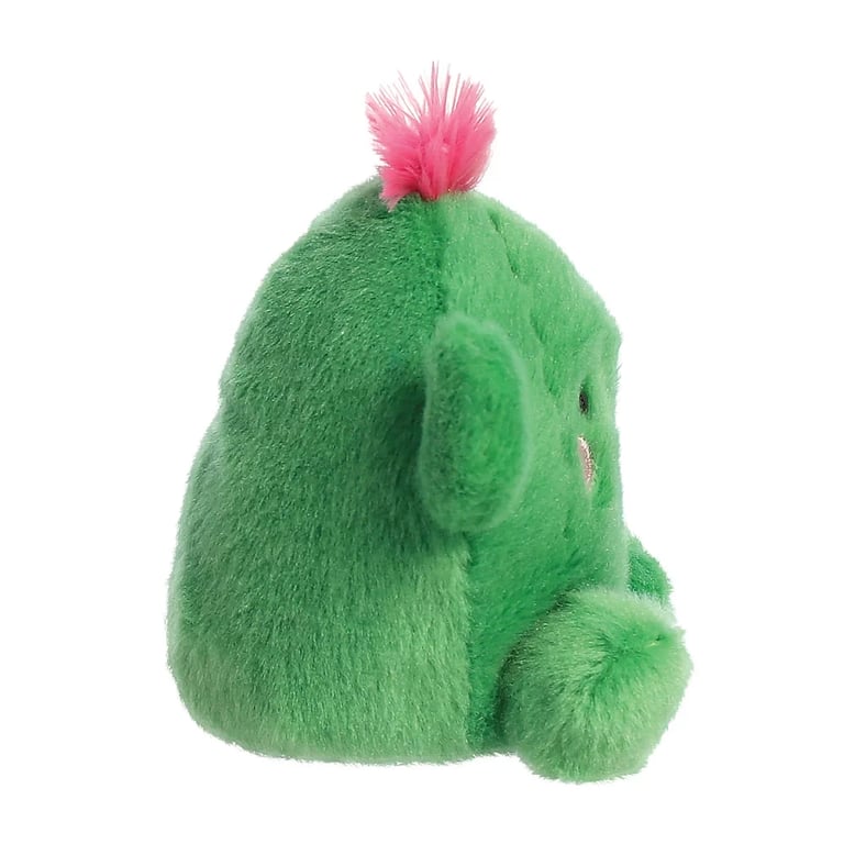 Cactus Palm Pal - Easy to Care For Indoor Desert Succulent Plant
