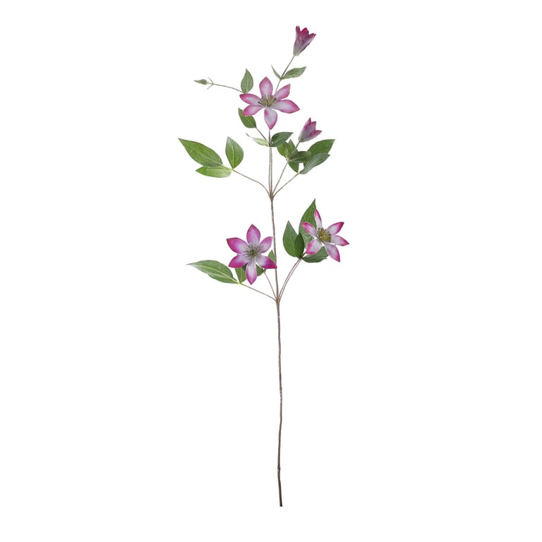 Lavender and White Snowy Clematis - 78cm Flowering Vine for Home Garden Decoration