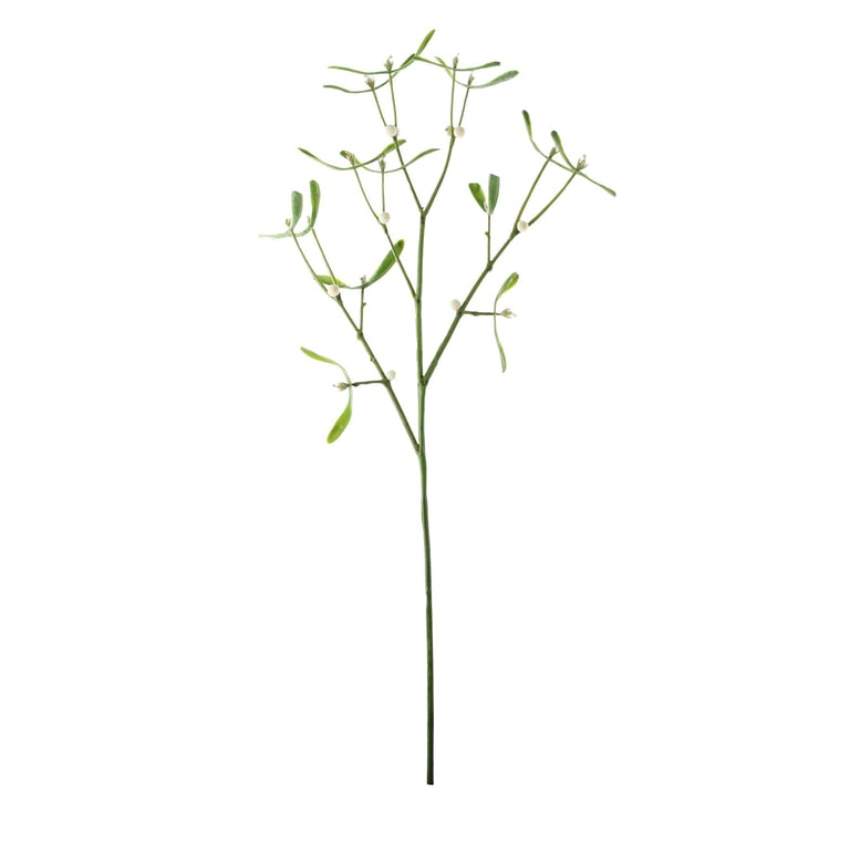 60cm Green Mistletoe Sprig - Authentic Christmas Decor for Home and Holiday Parties