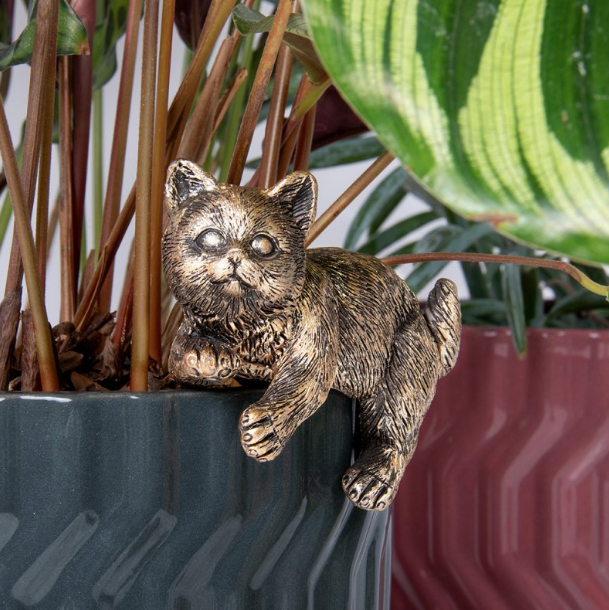 Cat Plant Pots - Durable Cat-Friendly Planters with Built-in Catnip Infusion