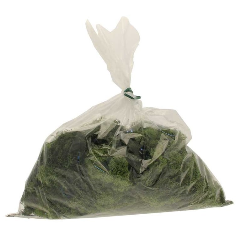 Olive Green Reindeer Moss (500g) - Artificial Home Decor Accent for Landscaping and Crafting