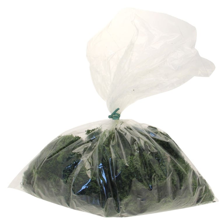 Dark Green Reindeer Moss - Natural Home Dcor Accent for Indoor Planting