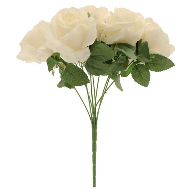 Rose Bush Cream - Organic Plant Food for Healthy Garden Skincare and Rose Bush Care