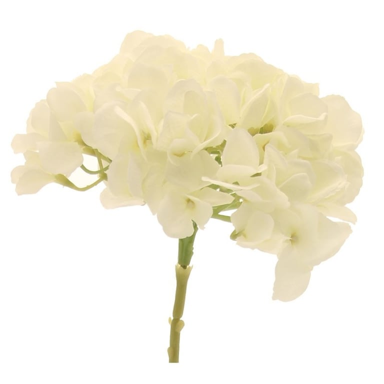Single Stem Cream Hydrangea - Perfect for Floral Arrangements and Wedding Decorations