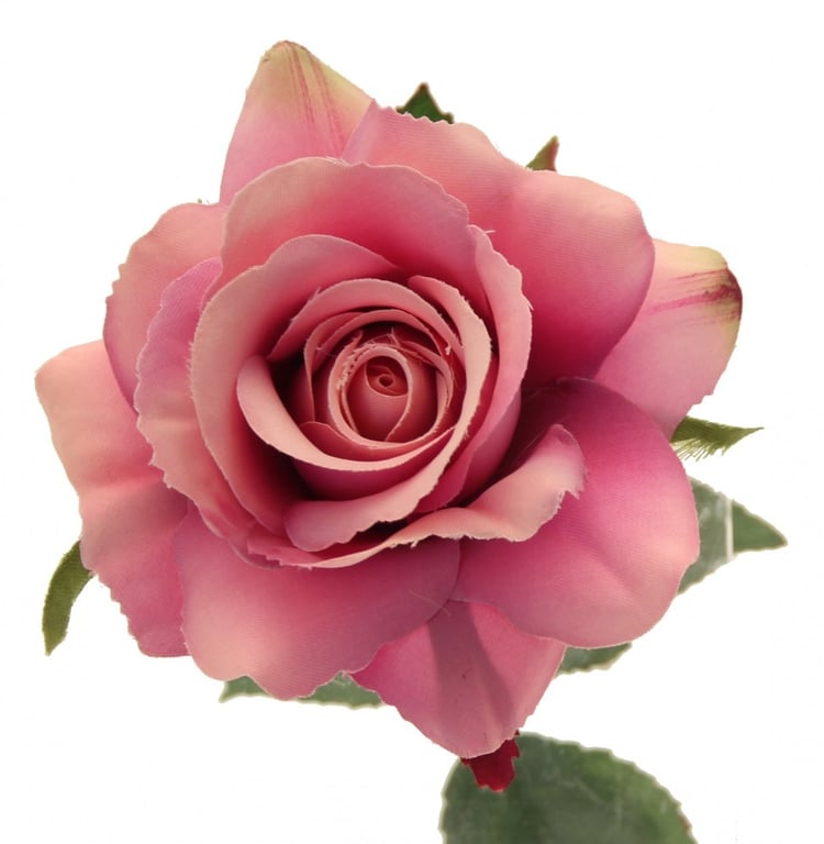 Lavender Rose 42cm Floral Arrangement - Home Fragrance and Garden Decor