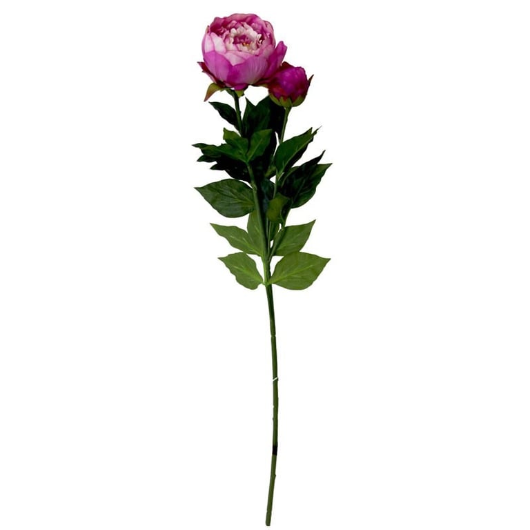 Peony Fuchsia - 78cm Vibrant Outdoor Flower Plant for Home Garden Decoration