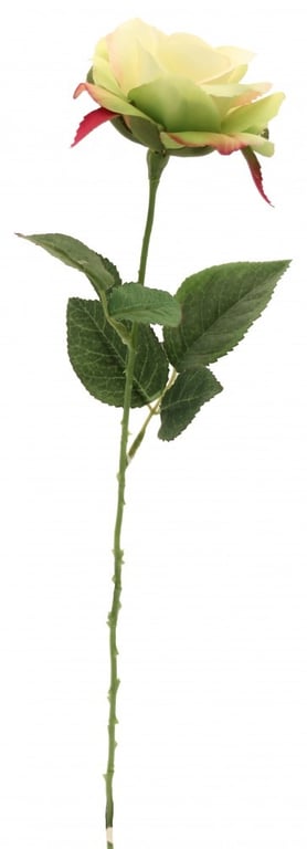 Light Green Rose - 42cm Long-Stemmed Home Decor Plant for Indoor Garden Decoration
