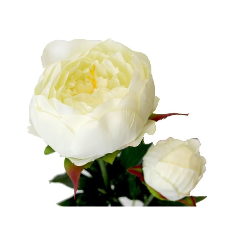 White Peony Flowers - Large 78cm Tall Garden Decor Blooms