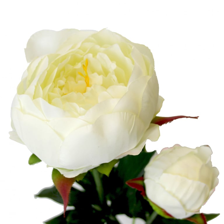 White Peony Flowers - Large 78cm Tall Garden Decor Blooms