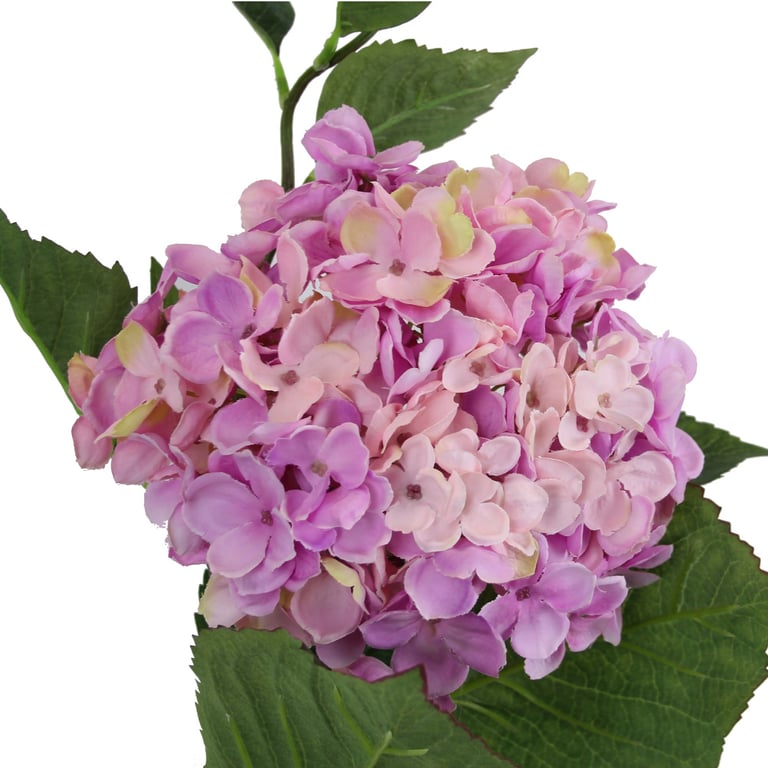 Large Purple & Pink Hydrangea Garden Flowers - Beautiful Floral Arrangement Home Decor