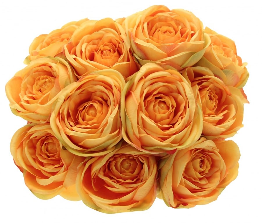 Tea Rose Bunch Yellow & Gold 40cm Fresh Cut Long Stemmed Arrangement Perfect for Home Decor