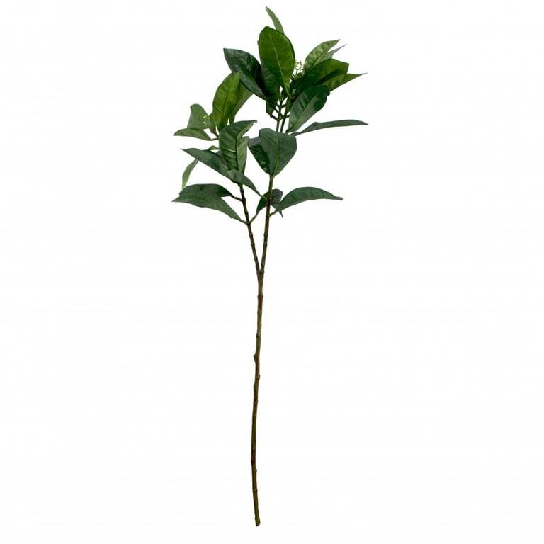 Croton Spray 105cm - Vibrant Tropical Houseplant with Green Leafy Foliage