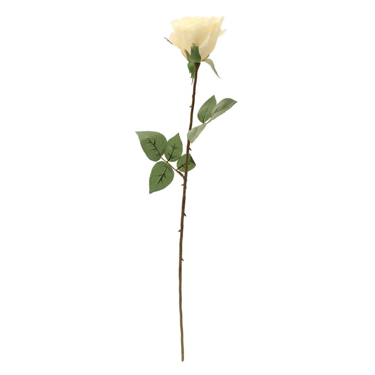 Kaia Rose Stem Cream Home Decor Beauty Accessory