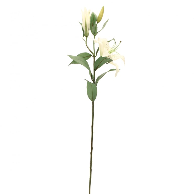 Cream Lily Floral Fragrance Spray - Home Perfume with Gardenia Scent for Women