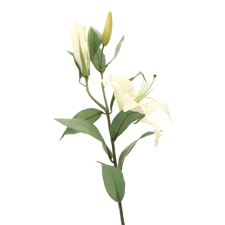 Cream Lily Floral Fragrance Spray - Home Perfume with Gardenia Scent for Women