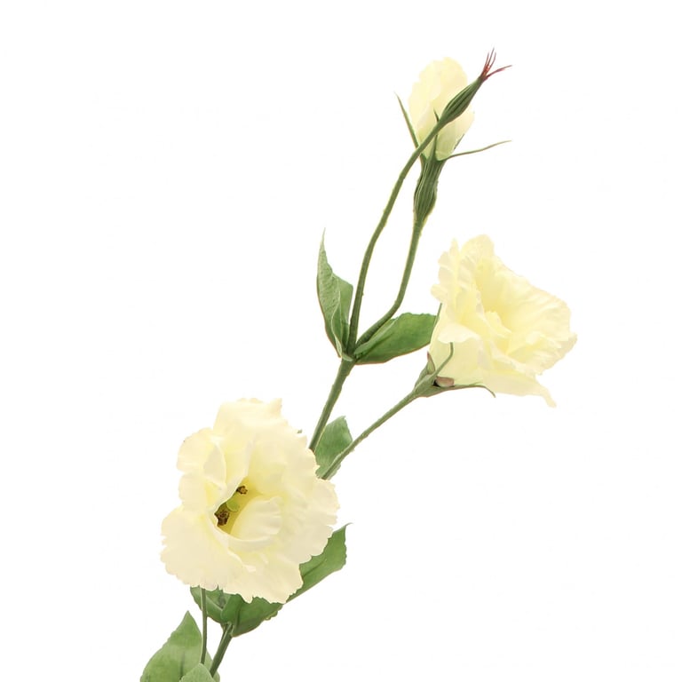 Lisianthus Spray Cream - Fragrant Body & Hair Mist for Makeup Setting and Refreshing Skin