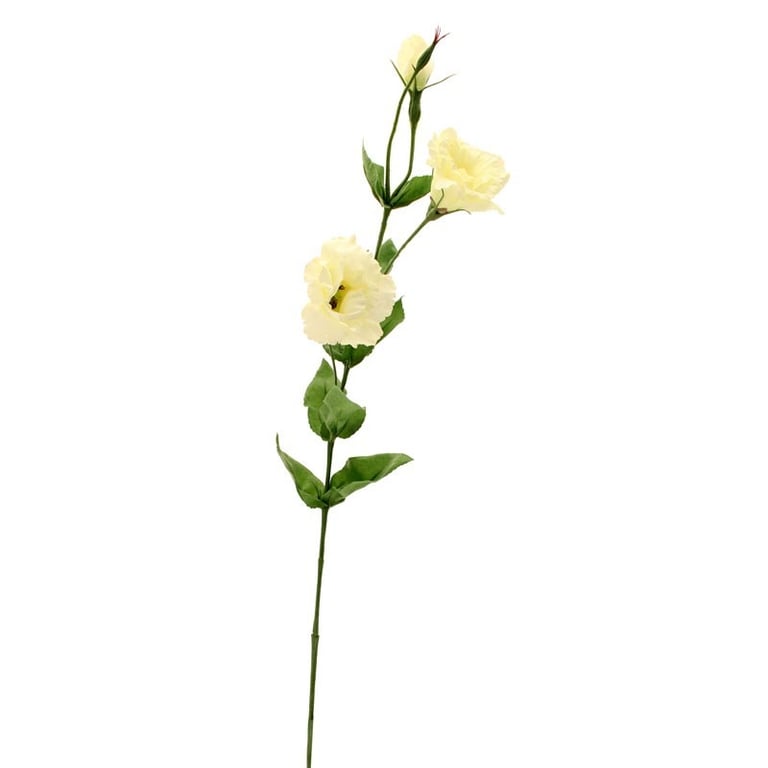 Lisianthus Spray Cream - Fragrant Body & Hair Mist for Makeup Setting and Refreshing Skin