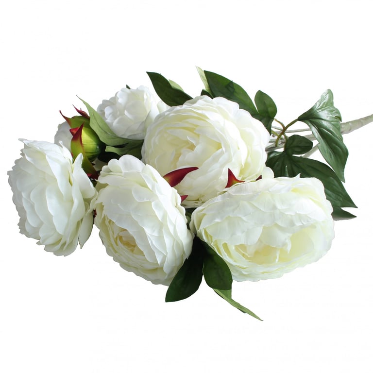 Cream Peony Bunch - Elegant Pink Floral Arrangement for Home Decor