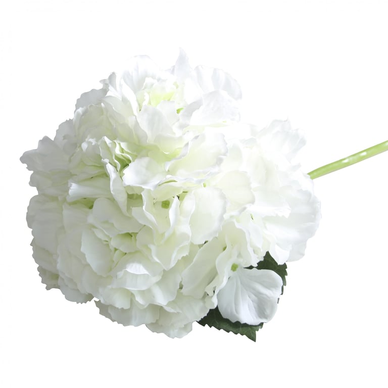 Short Stem Hydrangea Cream - Moisturizing Skincare Cream for Hydrated Beauty