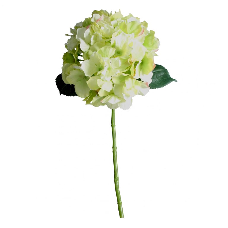 Green Hydrangea Short Stem Flowers - Perfect for Home Garden Decorations and Wedding Bouquets