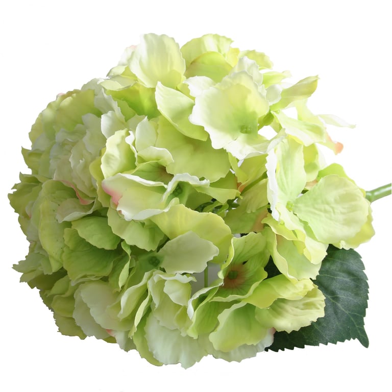 Green Hydrangea Short Stem Flowers - Perfect for Home Garden Decorations and Wedding Bouquets