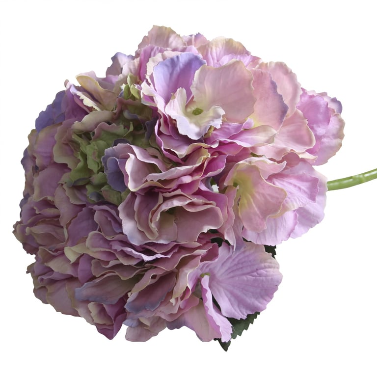 Pink Short Stem Hydrangea - Durable Fresh Cut Garden Decorations for Home and Floral Arrangements