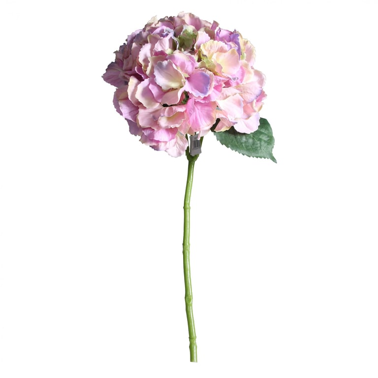 Pink Short Stem Hydrangea - Durable Fresh Cut Garden Decorations for Home and Floral Arrangements